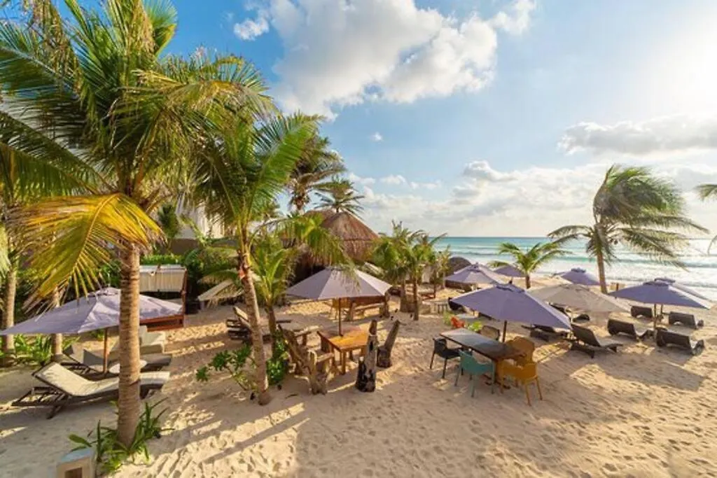 Luxury Studio In Playa Del Carmen México